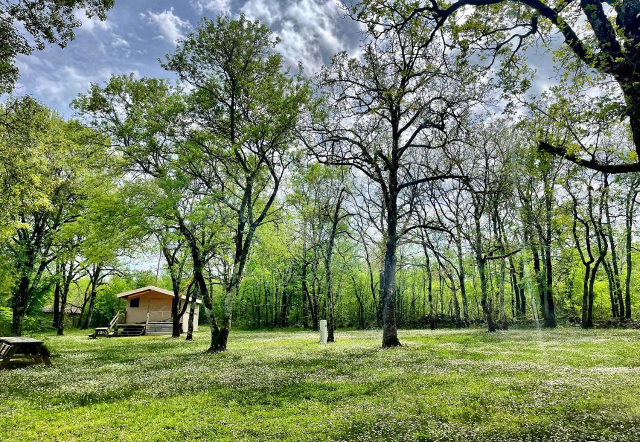 Lodges Du Bois Dodo - Ancien Camping De Bois Redon Septfonds Exterior foto